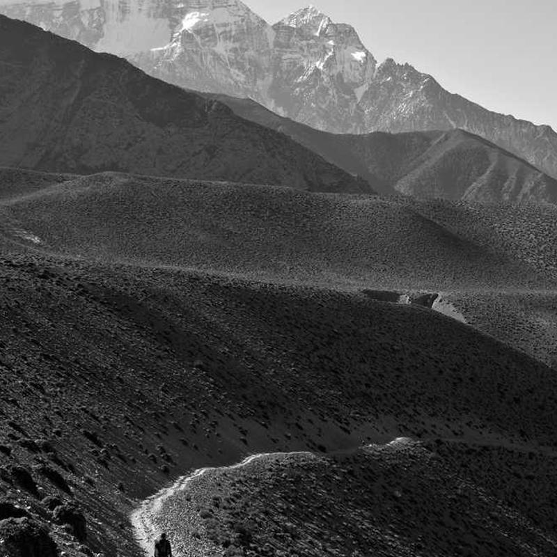 Netus a eros gravida arcu ornare curae odio malesuada