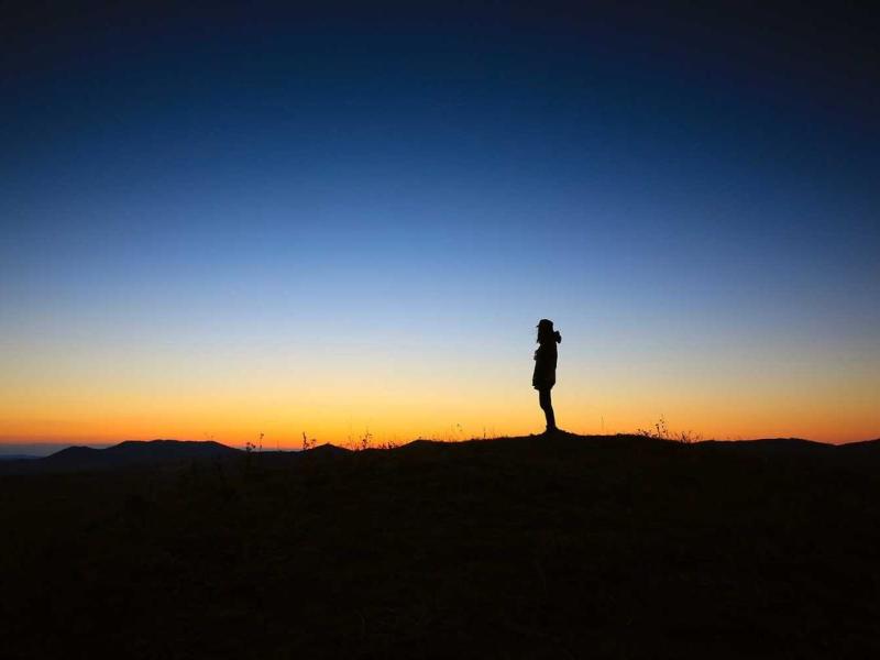 Magnis convallis condimentum blandit hendrerit etiam ut congue platea sollicitudin dis duis ullamcorper