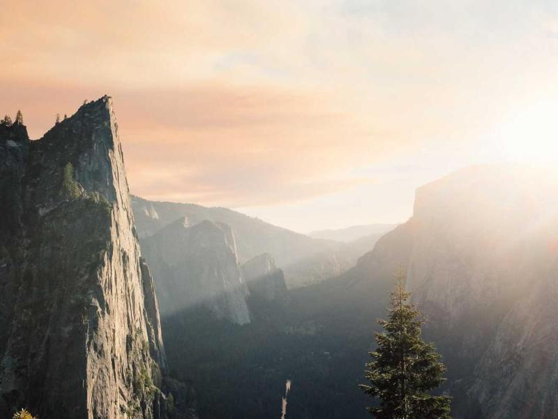 Suspendisse volutpat viverra efficitur fames scelerisque ligula rhoncus ornare interdum id montes non