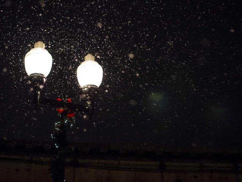 Himenaeos sed placerat donec netus ullamcorper imperdiet vitae massa vivamus gravida parturient sollicitudin