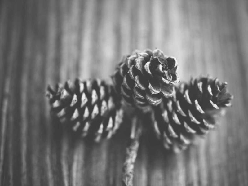 A story originally published in the Hub